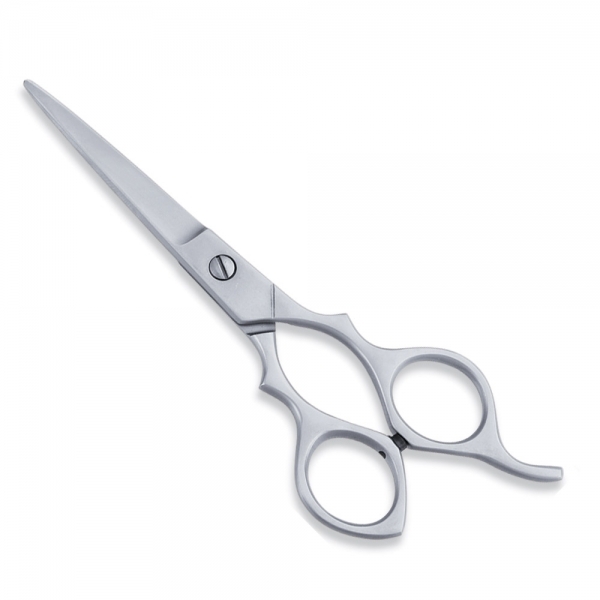 Economy Scissor